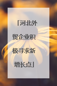 河北外贸企业积极寻求新增长点