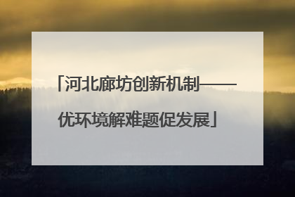 河北廊坊创新机制——优环境解难题促发展