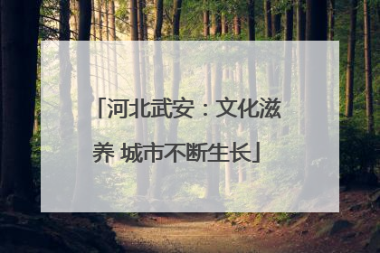 河北武安：文化滋养 城市不断生长