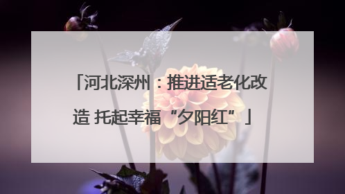 河北深州：推进适老化改造 托起幸福“夕阳红”