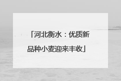 河北衡水：优质新品种小麦迎来丰收