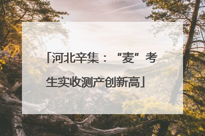 河北辛集：“麦”考生实收测产创新高