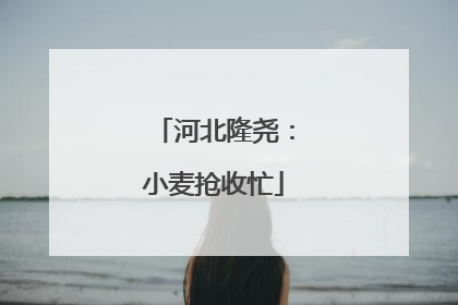 河北隆尧：小麦抢收忙