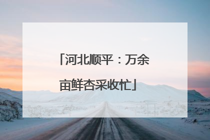 河北顺平：万余亩鲜杏采收忙