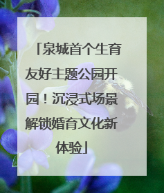 泉城首个生育友好主题公园开园！沉浸式场景解锁婚育文化新体验