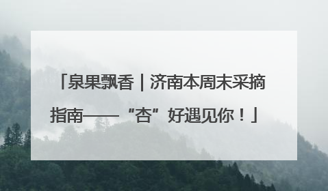 泉果飘香｜济南本周末采摘指南——“杏”好遇见你！