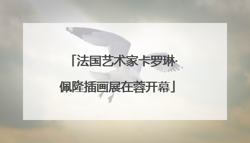 法国艺术家卡罗琳·佩隆插画展在蓉开幕