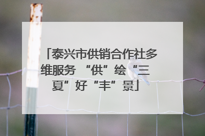 泰兴市供销合作社多维服务 “供”绘“三夏”好“丰”景