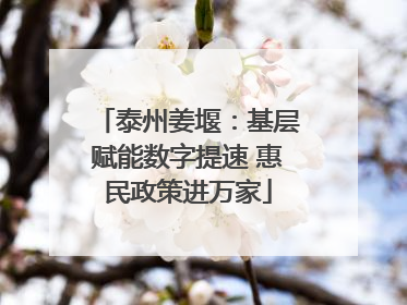 泰州姜堰：基层赋能数字提速 惠民政策进万家