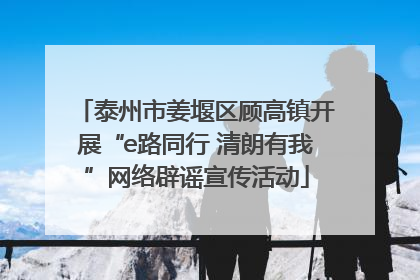 泰州市姜堰区顾高镇开展“e路同行 清朗有我”网络辟谣宣传活动