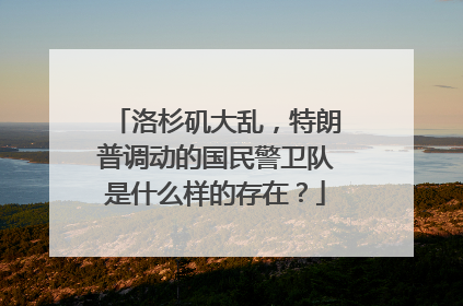 洛杉矶大乱，特朗普调动的国民警卫队是什么样的存在？