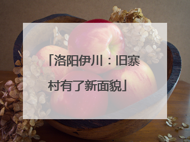 洛阳伊川：旧寨村有了新面貌