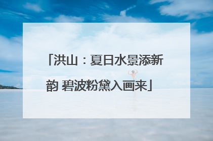 洪山：夏日水景添新韵 碧波粉黛入画来
