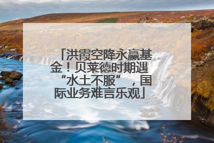 洪霞空降永赢基金！贝莱德时期遇“水土不服”，国际业务难言乐观