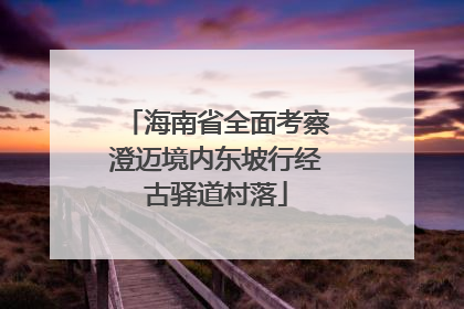 海南省全面考察澄迈境内东坡行经古驿道村落