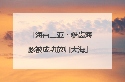 海南三亚：糙齿海豚被成功放归大海
