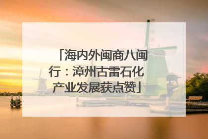 海内外闽商八闽行：漳州古雷石化产业发展获点赞