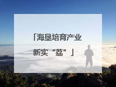 海垦培育产业新实“荔”
