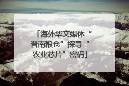 海外华文媒体“晋南粮仓”探寻“农业芯片”密码