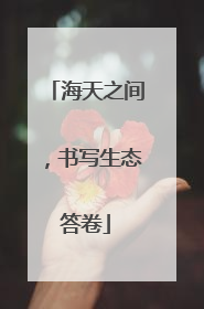 海天之间，书写生态答卷