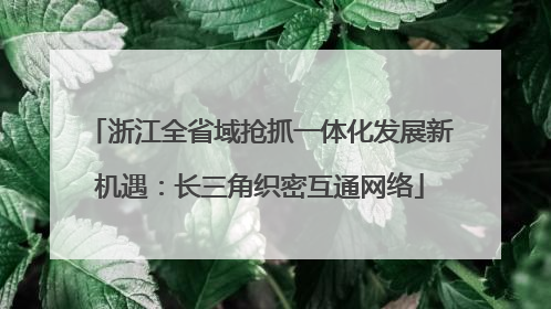 浙江全省域抢抓一体化发展新机遇：长三角织密互通网络