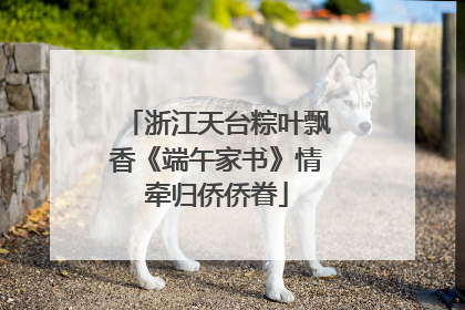 浙江天台粽叶飘香《端午家书》情牵归侨侨眷