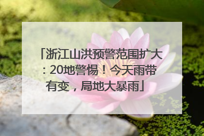 浙江山洪预警范围扩大：20地警惕！今天雨带有变，局地大暴雨