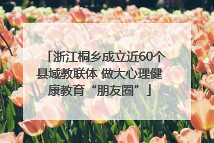 浙江桐乡成立近60个县域教联体 做大心理健康教育“朋友圈”