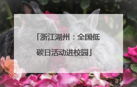 浙江湖州：全国低碳日活动进校园