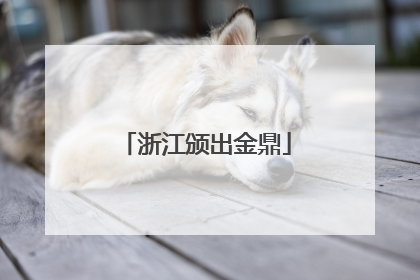 浙江颁出金鼎