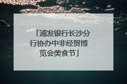 浦发银行长沙分行协办中非经贸博览会美食节
