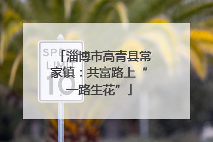 淄博市高青县常家镇：共富路上“一路生花”