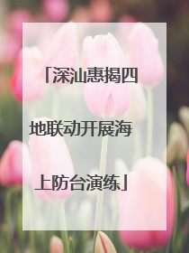 深汕惠揭四地联动开展海上防台演练