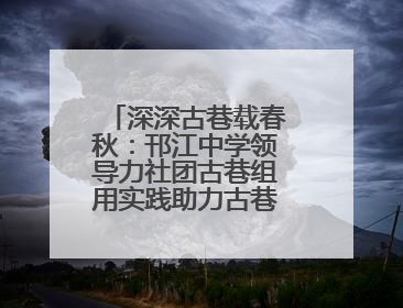 深深古巷载春秋：邗江中学领导力社团古巷组用实践助力古巷非遗传承