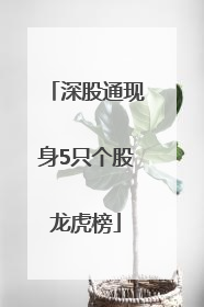 深股通现身5只个股龙虎榜