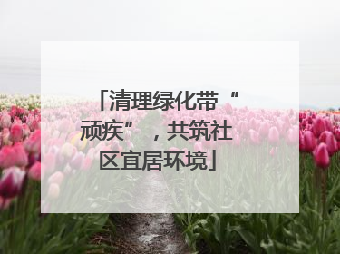 清理绿化带“顽疾”，共筑社区宜居环境