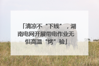 清凉不“下线”，湖南电网开展带电作业无惧高温“烤”验