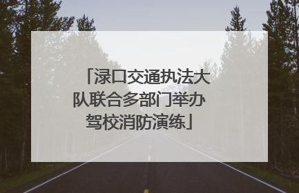 渌口交通执法大队联合多部门举办驾校消防演练