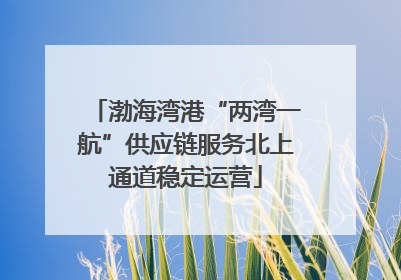 渤海湾港“两湾一航”供应链服务北上通道稳定运营