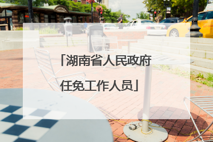 湖南省人民政府任免工作人员