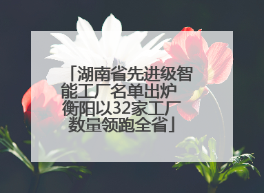湖南省先进级智能工厂名单出炉 衡阳以32家工厂数量领跑全省