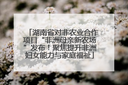 湖南省对非农业合作项目“非洲母亲新农场”发布！聚焦提升非洲妇女能力与家庭福祉