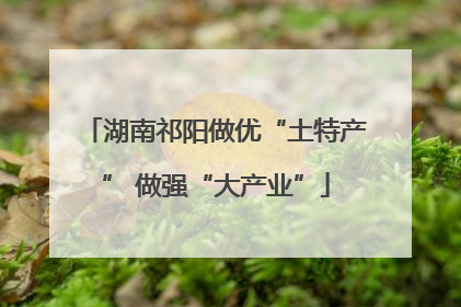 湖南祁阳做优“土特产” 做强“大产业”