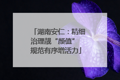 湖南安仁：精细治理靓“颜值” 规范有序增活力