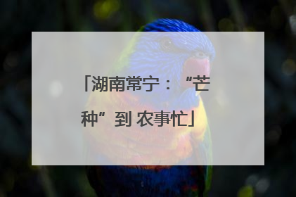 湖南常宁：“芒种”到 农事忙