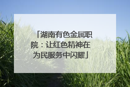 湖南有色金属职院：让红色精神在为民服务中闪耀