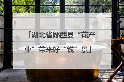 湖北省郧西县“花产业”带来好“钱”景