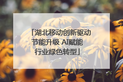 湖北移动创新驱动节能升级 AI赋能行业绿色转型