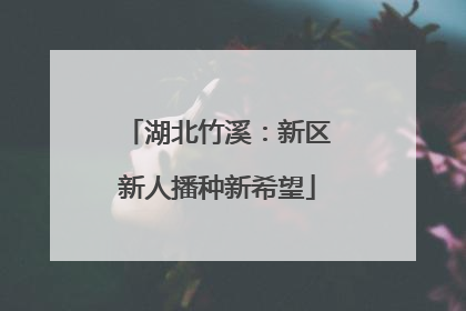 湖北竹溪：新区新人播种新希望