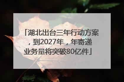 湖北出台三年行动方案，到2027年，年寄递业务量将突破80亿件